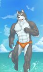  abs anthro beach biceps big_muscles black_nose bulge canine chest_tuft fangs fur grey_fur kazel male mammal muscles open_mouth pecs pose red_eyes sea seaside solo speedo standing swimsuit teeth toned tongue topless tuft water wet wolf 