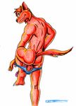  balls big_penis butt cat clothing erection feline flatrat fur jake_clawson looking_at_viewer looking_back male mammal muscles nude penis presenting smile solo speedo standing swat_kats swimsuit undressing 