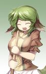  animal_ears bamboo_broom blush breasts broom closed_eyes danbo_(rock_clime) green_hair highres kasodani_kyouko large_breasts open_mouth short_hair skirt smile solo touhou 