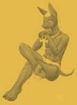  5_toes ankh anthro anubis canine comission deity egyptian hindpaw jackal looking_at_viewer male mammal paws pose sitting solo toes yellowpower 