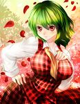  breasts green_hair hand_on_hip hand_on_own_chest kazami_yuuka large_breasts long_sleeves looking_at_viewer nagare petals red_eyes ribbon shirt skirt skirt_set smile solo touhou vest 