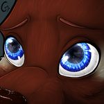  anthro black_nose blue_eyes brown_fur brown_nose cat close-up cynn eyebrows feline female fur looking_up low_res mammal patchi patchi_(character) plain_background sad siamese solo 