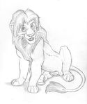  chris_mckinley disney feline feral lion looking_at_viewer male mammal mckinley penis presenting simba sketch solo the_lion_king 