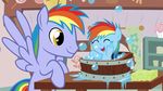  absurd_res amber_eyes bath beavernator bubble bubbles bucket curtains duo equine female feral friendship_is_magic hair hi_res horse male mammal multi-colored_hair my_little_pony pegasus plate pony rainbow_dad rainbow_dash_(mlp) rainbow_hair shelf sponge table water wings 
