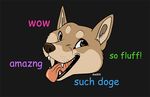  ambiguous_gender black_background brown_nose canine dog doge english_text eye_spots fur ifus looking_at_viewer mammal meme open_mouth plain_background shiba_inu solo tan_eyes tan_fur text tongue tongue_out 