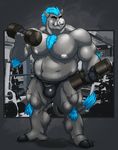  2013 abs anthro biceps big_muscles blue_hair boar chubby clothing dogbruin dumbbell fur gym hair looking_at_viewer male muscles nipples pecs piercing porcine pose smile solo standing sweat taoren weight weights 