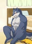  2013 abs anthro bed biceps big_muscles black_nose blue_fur blush boxers canine compression_artifacts fangs fur grey_fur inside looking_at_viewer male mammal manya muscles nipples nude open_mouth pecs sitting solo tears teeth toned tongue underwear wolf yellow_eyes 