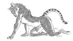  anthro erection feline humanoid_penis leopard looking_at_viewer male mammal monochrome nude penis plain_background solo tanglefoot_(artist) whiskers white_background 