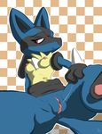  female lucario nintendo pok&#233;mon pok&eacute;mon pussy solo thedrainpipe video_games 