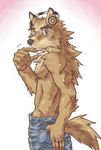  anthro black_nose blue_eyes brown_body brown_fur canine eyewear fur glasses headphones looking_at_viewer male mammal plain_background ryuta-h solo standing sweat topless white_background wolf 