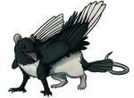  alpha_channel ambiguous_gender avian beak black_feathers black_fur brown_eyes feral fur grey_feathers gryphon hybrid magpie mammal nequaria octobertiger plain_background rat rodent smile solo transparent_background white_feathers white_fur wings 