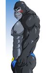  abs anthro ape biceps big_muscles blush bodybuilder brandon_summers bulge funeral-paws fur gorilla hunk looking_at_viewer male mammal muscles nipples pecs pose primate smile solo speedo standing swimsuit thong topless 