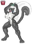  feline macro persine rampage skunk theskunkcat 