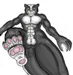  feline macro noxx panther skunk stomping theskunkcat 