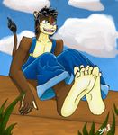  arthropod barefoot black_hair claws clothing cloud clouds fangs feline freckles grass green_eyes hair hindpaw human_feet human_hands insect ladybug lion mammal overalls paws plantigrade shui shuigetsu sky smile soles solo toes wood 