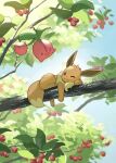  :3 :d absurdres berry branch cherubi commentary_request eevee hanging_from_tree highres leaf looking_at_another no_humans on_branch one_eye_closed outdoors pokemon pokemon_(creature) pokemon_focus sky smile tree yamaori_(hakkentai_pokedan) 
