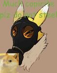  ambiguous_gender beige_background black_eyes black_nose canine digimon dog doge english_text female fox fur gas_mask headgear humor long_ears looking_at_viewer mask meme original_character renamon squint sunnimuffins text white_fur yellow_fur 