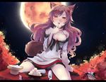  animal_ears imaizumi_kagerou moon newhonpo tail touhou 