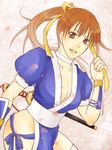  1girl breasts brown_hair cleavage dead_or_alive kasumi kasumi_(doa) large_breasts smile solo tecmo 