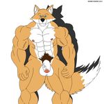  2013 abs anthro balls biceps blue_eyes canine fur looking_at_viewer male maxime-jeanne muscles nipples nude pecs penis pose solo standing vein wolf 