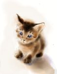  cat fluffy fur highres kitten no_humans original simple_background uirina 