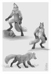  all_fours anthro balls biceps canine claws fox fur howl kaosst male mammal monochrome muscles nude pecs sheath sketch solo standing toe_claws werefox werewolf wolf 