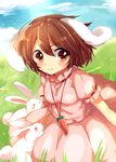 animal_ears blue_sky brown_eyes brown_hair bunny bunny_ears carrot day dress grass inaba_tewi paragasu_(parags112) short_hair sky smile touhou 