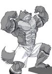  abs anthro biceps big_muscles canine claws clothed clothing echin fangs flexing fur half-dressed male mammal monochrome muscles pecs plain_background pose raised_leg shorts solo standing teeth toe_claws toned topless white_background wolf 
