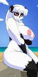  anthro areola bear big_breasts black_fur black_hair breasts chubby cloud cocoa edit female fur hair hi_res huge_breasts las_lindas long_hair mammal nipples nude open_eyes outside overweight panda red_eyes sea seaside sitting sky solo unknown_artist water white_fur white_hair 