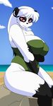  anthro bear big_breasts black_fur black_hair breasts chubby clothed clothing cloud cocoa edit female fur hair hi_res huge_breasts las_lindas long_hair mammal one-piece_swimsuit open_eyes outside overweight panda red_eyes sea seaside sitting sky solo swimsuit unknown_artist water white_fur white_hair 