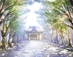  donation_box hakurei_shrine no_humans rope scenery shimenawa sunlight terajou_tadahito touhou tree 
