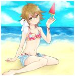  bad_id bad_pixiv_id beach bikini braid brown_hair crossdressing danganronpa danganronpa_1 day food french_braid fruit fujisaki_chihiro hino_(gonta523) male_focus otoko_no_ko ribbon smile solo swimsuit watermelon yellow_eyes 