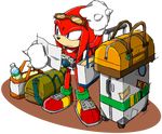  camera confused knuckles_the_echidna luggage map official_art purple_eyes sega sonic_the_hedgehog sunglasses 