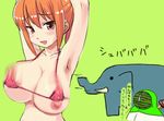  1girl animated animated_gif armpits arms_up artist_request bikini bikini_top black_eyes bounce bouncing_breasts breasts cleavage elephant large_breasts orange_hair solo swimsuit translation_request what 