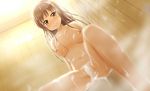  bath blush breasts brown_eyes brown_hair long_hair navel nipples nude original takuya_kame 