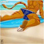  aaron_(artist) anthro back barefoot beach biceps big_muscles board body_markings bulge butt faceless_male foot_focus fur gay karol_(character) lombax male markings muscles orange_fur outside pose presenting presenting_hindquarters ratchet_and_clank red_stripes seaside soles solo speedo speedos surfboard swimsuit teasing thighs toned topless tuft two_toes underwear 