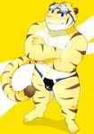  biceps big_muscles blue_eyes body_markings clothing crossed_arms eyewear feline fur goggles grin looking_at_viewer male mammal markings morenatsu muscles nipples pecs plain_background solo speedo standing stripes swimsuit tiger torahiko_ooshima yellow_background 