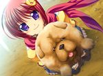  1girl child chouhi dog game_cg happy katagiri_hinata koihime_musou loli purple_eyes red_hair short_hair smile toes wink 