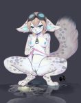  2018 absurd_res anthro blue_areola blue_eyes blue_nipples blue_pussy blush breasts canine clothing costom10 crouching eyewear female fennec fluffy fluffy_tail fox front_view fur goggles grey_fur half-closed_eyes hi_res mammal nipples nude open_mouth panties panties_aside peeing pussy simple_background solo spots spotted_fur spread_legs spreading underwear underwear_aside urine urine_pool white_fur zipper 