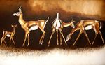  ambiguous_gender brown_fur brown_theme child ears_back ears_up family female feral fur gazelle group horn long_neck parent quadruped size_difference standing traditional_media unknown_artist warm_colors young 