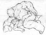  anthro bear duo gay grisser male mammal monochrome raccoon sex sketch 