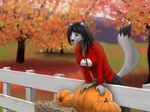  anthro black_hair breasts canine clothed clothing detailed_background fall female fence fur grey_wolf hair hay haystack hoodie leaves lexi_greywinds mammal outside pants pumpkin smile solo teeth tokaido tree wolf 