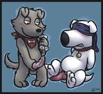  animal_genitalia balls blindfold blush bound brian_griffin canine canine_penis cobalthusky collar collar_tag dog erection family_guy forced fur gay grey_fur handkerchief knot lube male mammal new_brian penis rape white_fur 