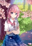  1girl absurdres blue_eyes blue_skirt cherry_blossoms collared_shirt falling_petals grass harumi_(harumi_77162) highres kaf_(kamitsubaki_studio) kamitsubaki_studio light_blush looking_at_viewer medium_hair outdoors parted_lips petals pink_hair shirt side_ponytail sitting skirt virtual_youtuber white_shirt 