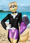  2025 anthro ball ball_in_mouth beach biped black_clothing black_jacket black_nose black_topwear bow_tie boxers_(clothing) canid canine canis clothed clothing danaume day domestic_dog drone floppy_ears footwear front_view fur gloves green_hair hair handwear hi_res holding_object jacket lop_ears male mammal outside sandals shoes short_hair solo standing tan_body tan_fur teeth tennis_ball topwear underwear visor white_clothing white_dress_shirt white_gloves white_handwear 