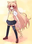  aisaka_taiga animal_ears blush brown_eyes brown_hair cat_ears long_hair ribbon shin_(new) solo tail thighhighs toradora! 