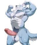  1boy abs animal_ears bara biceps claws closed_mouth commentary completely_nude english_commentary erection flexing furry furry_male highres law_(sdorica) lhjal2 male_focus muscular muscular_male navel nipples nude pectorals penis sdorica smile tail testicles white_background wolf_boy wolf_ears wolf_tail 