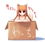  :&lt; animal_ears box cardboard_box holo in_box in_container long_hair nude red_eyes shin_(new) solo spice_and_wolf tail translated wolf_ears 