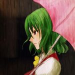  ascot green_hair kazami_yuuka monmon parasol portrait profile rain red_eyes short_hair solo touhou umbrella vest 