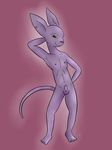  anthro balls beerus bills cat dragon_ball dragon_ball_z feline looking_at_viewer male mammal nude penis plain_background solo zekromlover 